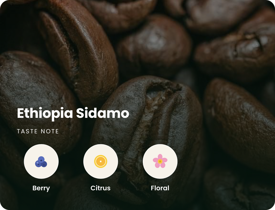 Ethiopia Sidamo Decaf Beans